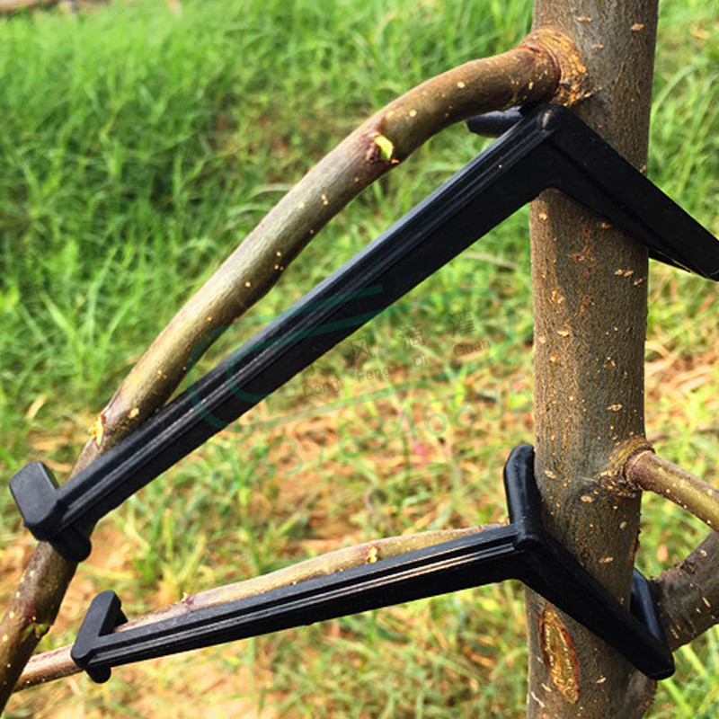 Root Watering Spike - Clips para árboles frutales, soporte para