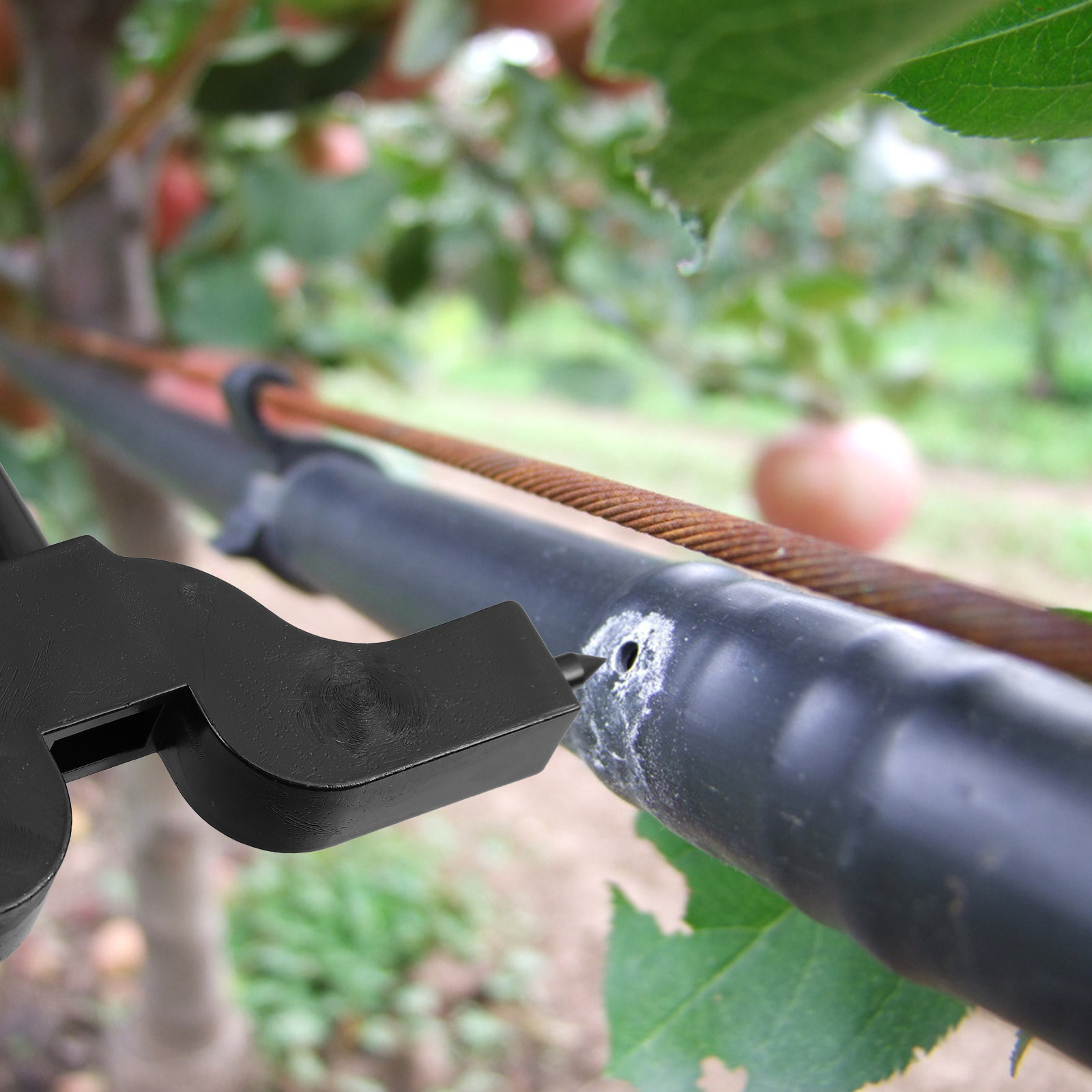 5 piezas de herramienta de rie - Gardening Tools Youtube reseña y precio