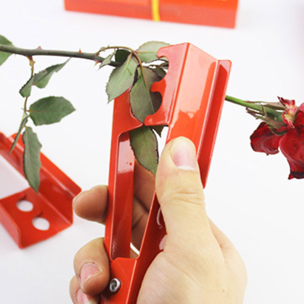 Alicates para espinas de rosa, - Gardening Tools Unique reseña y precio