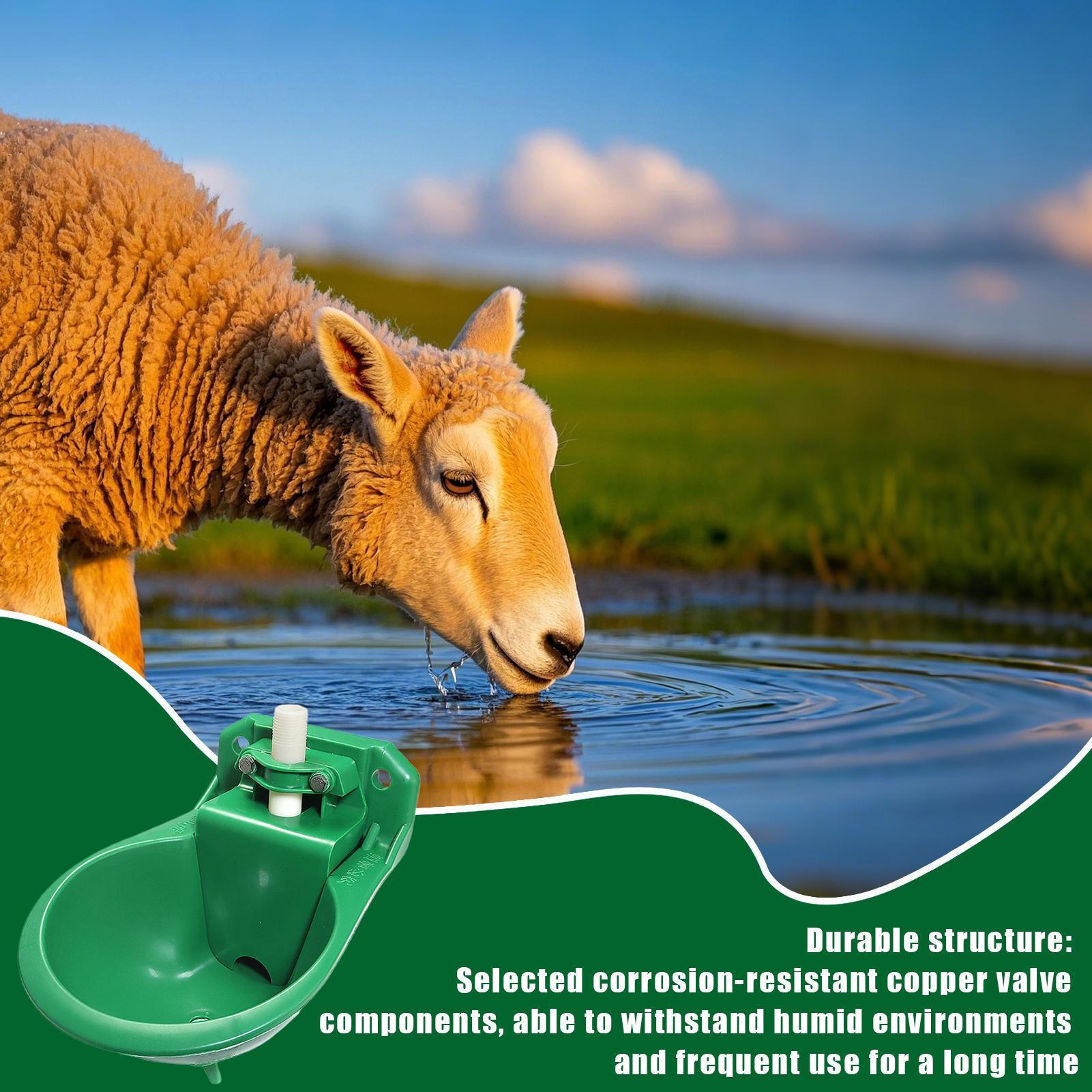 Bebedero para Caballos con Vál - Gardening Tools For Women reseña y precio