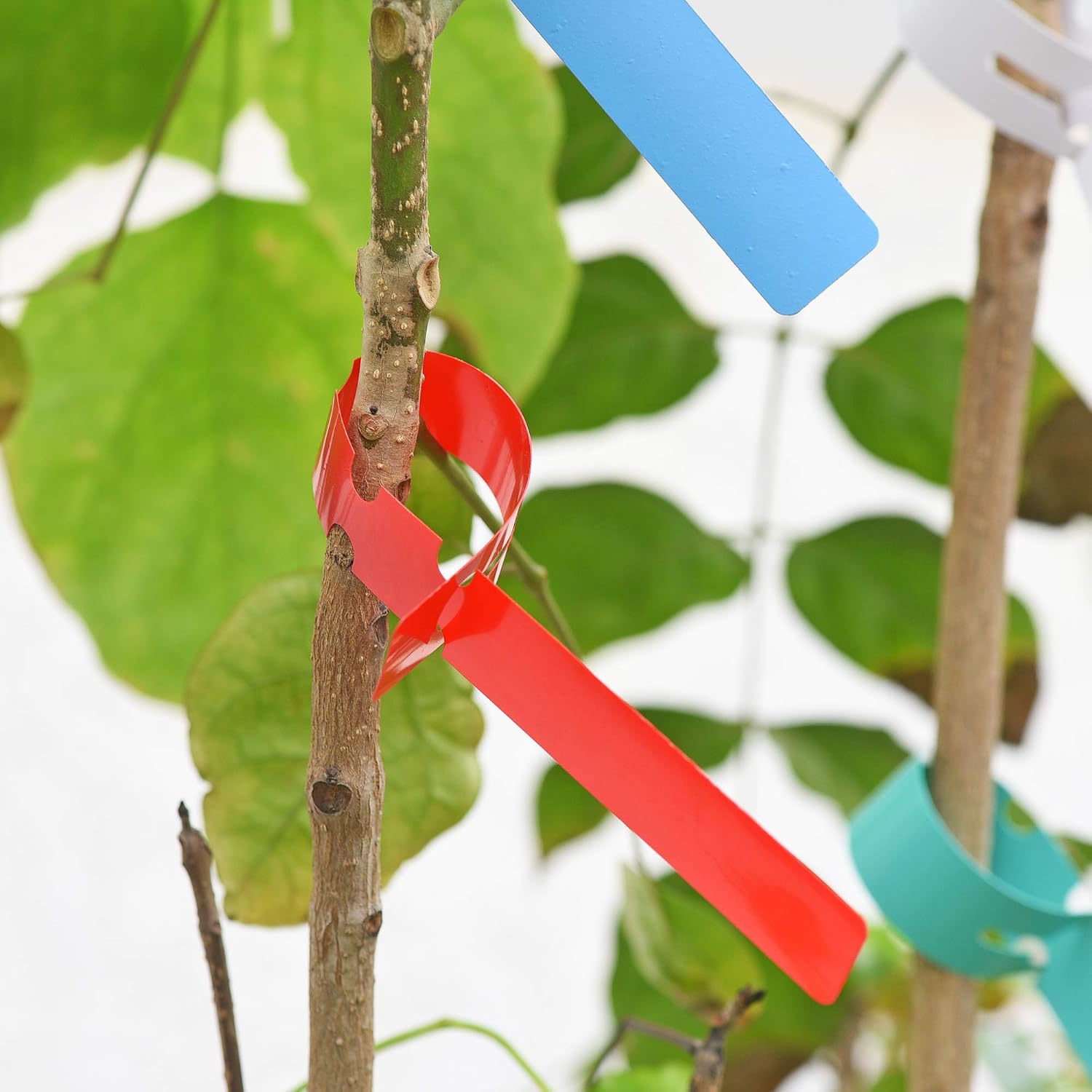 100 unidades de marcadores imp - Garden Label Marker reseña y precio