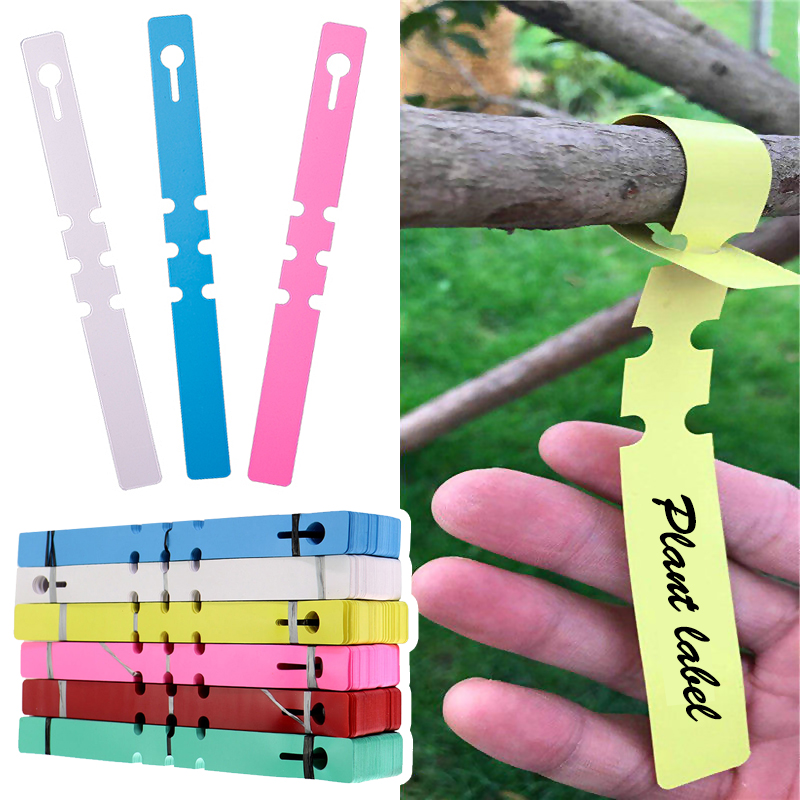 100 unidades de marcadores imp - Garden Label Marker reseña y precio