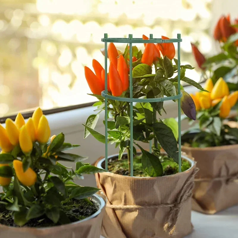 Soporte de plástico para plant - Gardening Tools Range reseña y precio