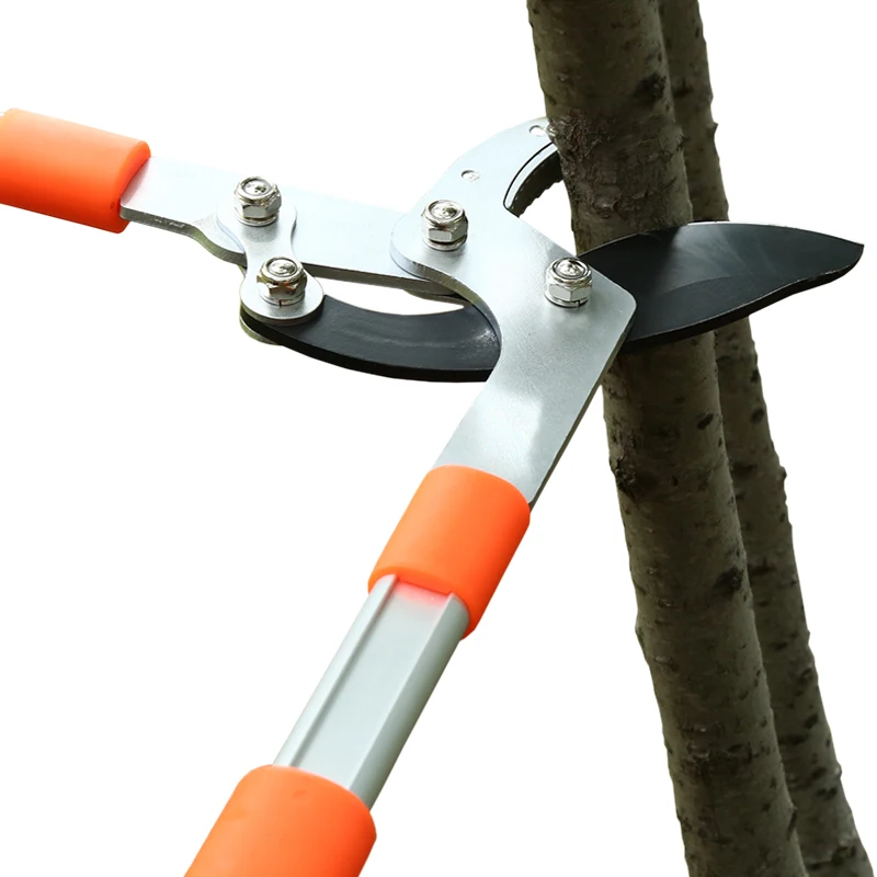 Tijera de longitud larga para  - Gardening Tools German reseña y precio