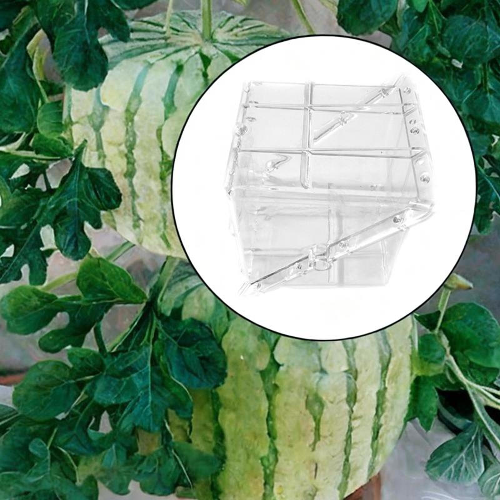 Equipo de molde cuadrado para  - Gardening Tools Unique reseña y precio