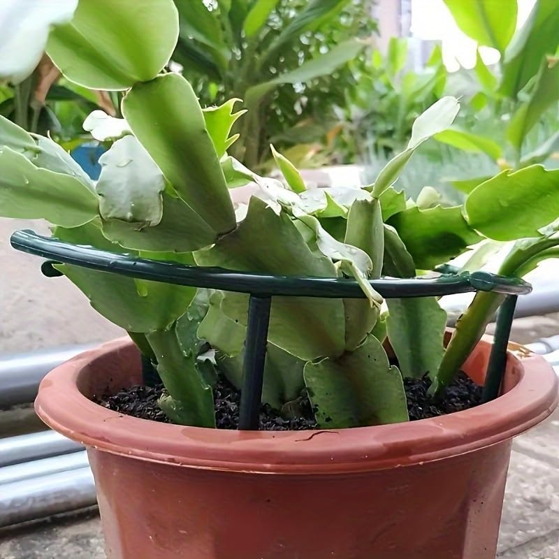 30-1PCS Soporte de Plástico Se - Gardening Tools Range reseña y precio