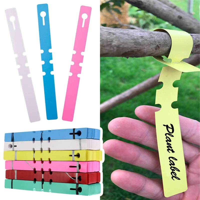 100-200 Piezas de Marcadores d - Garden Label Marker reseña y precio