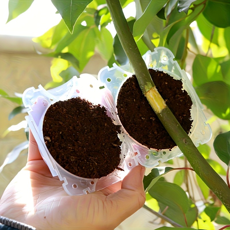 Kit de 10 Piezas para Propagac - Gardening Tools Organiser reseña y precio